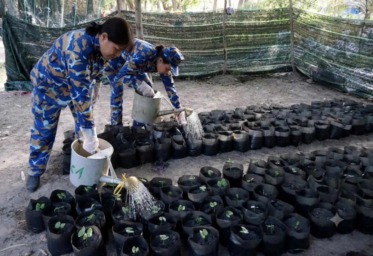 Hội phụ nữ Lữ đoàn 101 tích cực hưởng ứng Chương trình “Xanh hóa Trường Sa” 2 Hội phụ nữ Lữ đoàn 101 tích cực hưởng ứng Chương trình “Xanh hóa Trường Sa”