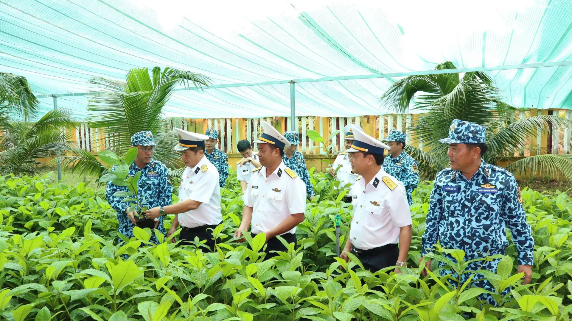 Vùng 4 Hải quân tiếp nhận 4.000 cây giống và 5 tấn phân vi sinh hỗ trợ “Xanh hóa Trường Sa” 5 Vùng 4 Hải quân tiếp nhận 4.000 cây giống và 5 tấn phân vi sinh hỗ trợ “Xanh hóa Trường Sa”